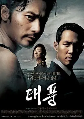 2005韩国动作大片《台风》：国际追捕与自然风暴的惊心较量